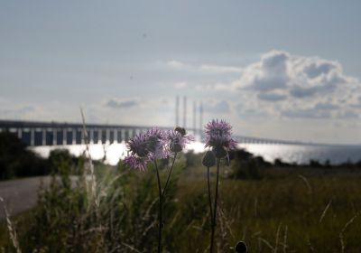 Schweden